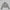 MIRAGE PSYCHIC SLIM SHORT DOWN JACKET/WHITE DUCK DOWN/W GLACIER GREY