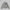 MIRAGE POLAR FIT HOOD DOWN JACKET/WHITE DUCK DOWN/U GLACIER GREY