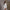 MYTH AEOLUS ASYMMETRY EVENING DRESS/ACETATE+VISCOSE+ACRYLIC+WOOL+SPANDEX CLOUD WHITE