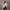 PERMANENT FORMAL SHIRT/U CLOUD WHITE