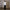 PERMANENT SLIM FORMAL SHIRT/COMBED COTTON/U CLOUD WHITE