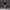 FUTURE REFLECTION LOOSE TEE/COTTON WILD BLACK