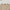 MYTH AEOLUS ASYMMETRY LONG SLEEVE KNIT EVENING DRESS/TENCEL+SILK FRESH SKIN