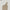 MYTH AEOLUS ASYMMETRY KNIT EVENING DRESS/TENCEL+SILK FRESH SKIN