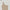 VINTAGE NOMADIC SILK ASYMMETRY TANK DRESS/SILK+COTTON FRESH SKIN