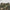 COMPASS MIRAGE CAMO TOWER SPORTS PANTS/COTTON ARMY GREEN  CAMOUFLAGE