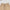 COMPASS MIRAGE TOWER SPORTS PANTS/COTTON SAND
