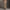 팬텀 사이렌 플레어 엘라스틱 진/기성복 스킨톤 염색