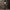 팬텀 사이렌 플레어 엘라스틱 진 / 가먼트 다잉 처리된 어나이얼레이션 브라운