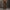 팬텀 사이렌 플레어 엘라스틱 진 / 가먼트 다잉 처리된 어나이얼레이션 브라운