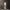 팬텀 사이렌 플레어 엘라스틱 진 / 기성복 다이 어나이얼레이션 화이트
