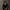 FUTURE GEOMETRIC OPTICAL GLASSES WILD BLACK