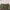 COMPASS RETRO CAMO PARA PANTS ARMY GREEN CAMOUFLAGE