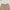 VINTAGE-STORM ONE CUT ARC CARGO PANTS/FADE DYE HURRICANE CAMOUFLAGE