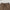 MIRAGE VANISH LOOSE SPORTS CARGO /GARMENT DYE VANISH BROWN