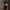 FUTURE TRAJECTORY IRREGULAR SUNGLASSES WILD BLACK