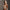 FUTURE STREAMLINE SLIM SUNGLASSES WILD BLACK