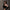 FUTURE STORM CLASSIC SUNGLASSES WILD BLACK