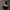 FUTURE STORM CLASSIC SUNGLASSES WILD BLACK