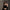 퓨처 스톰 클래식 선글라스 스페이스 실버