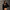 FUTURE ECLIPSE SLIM SUNGLASSES WILD BLACK
