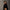FUTURE ECLIPSE SLIM SUNGLASSES WILD BLACK