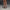 PRISM WORLD SHEARLING HEELED SLIDES GLACIER GREY