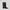 WIZARD MID-CALF COWBOY BOOTS/CALF/W WILD BLACK