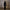 PERMANENT MEDITATE SHORT FORMAL SUIT/LENZING TENCEL+COTTON MIDNIGHT BLACK