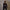 MYTH AEOLUS SHORT EVENING SUIT/WOOL+POLYESTER/W MIDNIGHT BLACK
