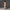 VINTAGE ROVE SILK CAMISOLE/SILK&COTTON FRESH SKIN