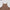 VINTAGE STORM FADE FLAT CAMISOLE / FADE DYE VANISH BROWN